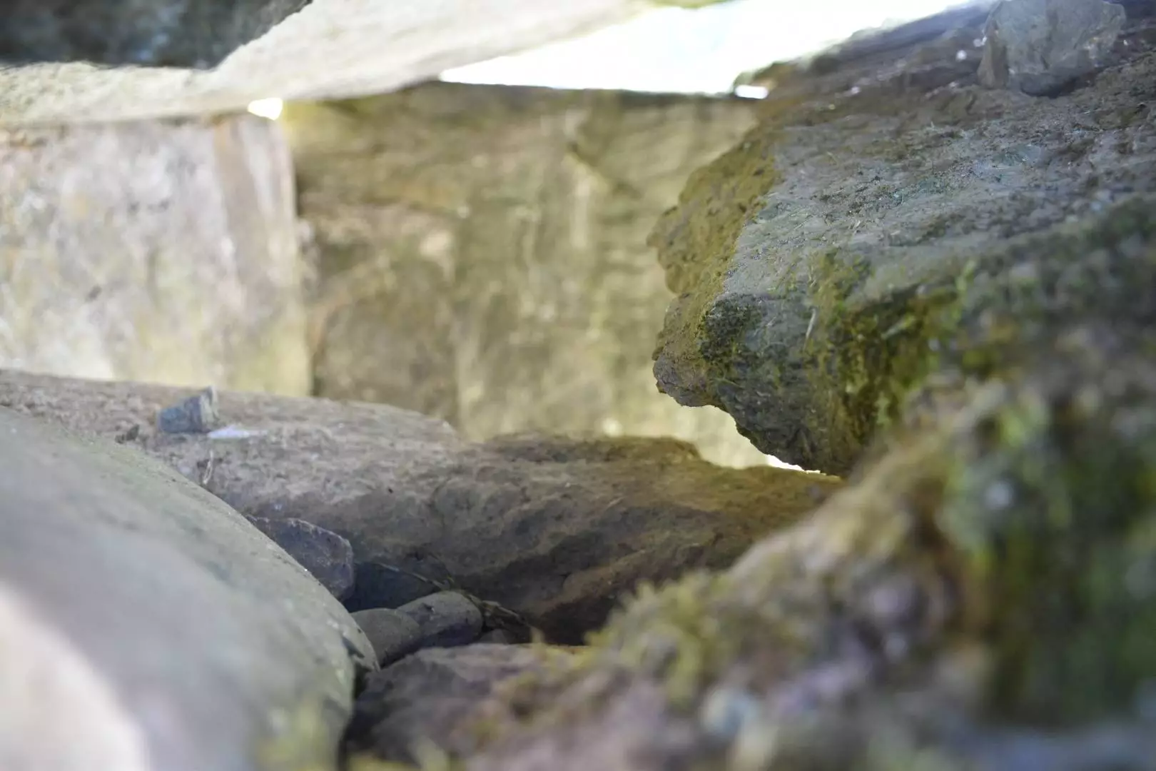 Interieur dolmen saint-cergues photo