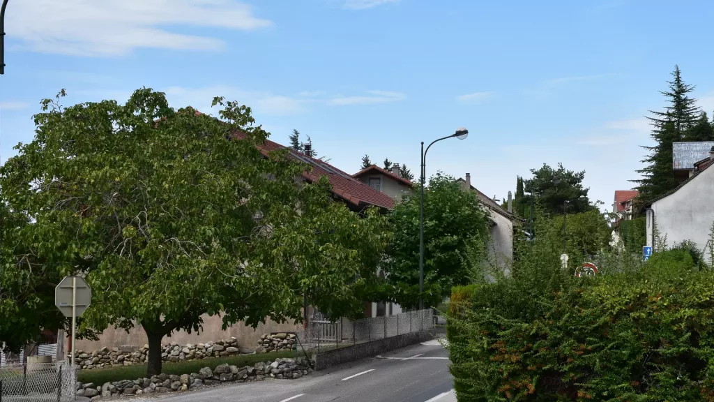 Le quartier des barraques saint-cergues 2023